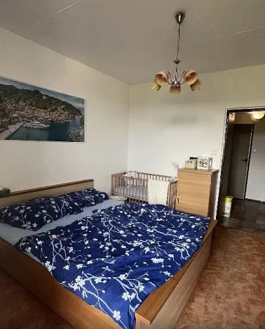 Pronájem bytu 2+1, Třebíč, Novodvorská, 56 m2