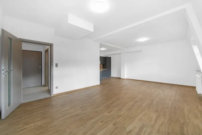 Pronájem bytu 1+kk, Zruč-Senec, Sportovní, 44 m2