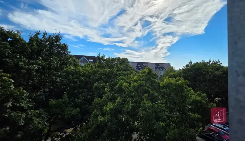 Prodej bytu 2+1, Brno, Souběžná, 55 m2