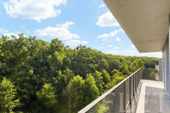 Pronájem bytu 3+kk, Praha - Hodkovičky, U Zátiší, 109 m2