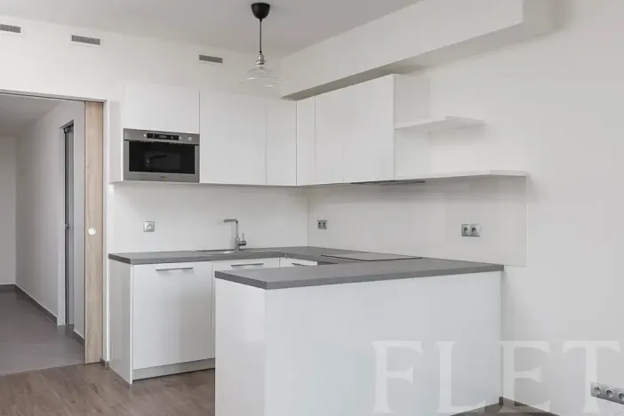 Pronájem bytu 2+kk, Praha - Libeň, Kurta Konráda, 52 m2