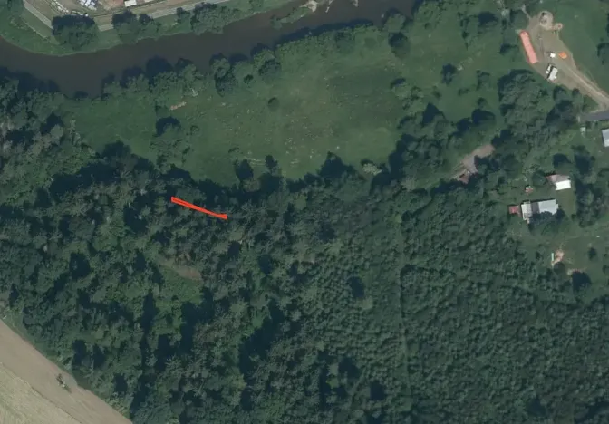 Prodej lesa, Zruč nad Sázavou, 2604 m2