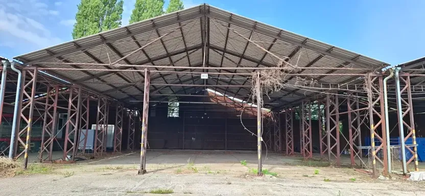 Pronájem komerční nemovitosti, Pardubice, S. K. Neumanna, 100 m2
