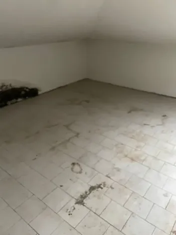 Dražba rodinného domu, Rosice, U Sýpky, 345 m2