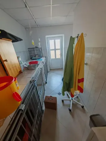 Prodej vícegeneračního domu, Lázně Bohdaneč, Škroupova, 205 m2