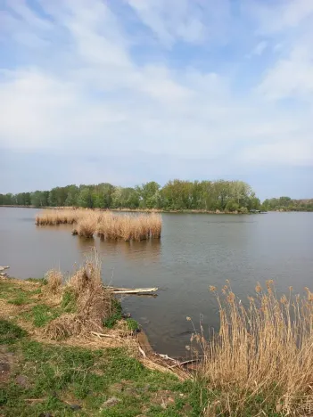 Prodej pozemku pro bydlení, Dolní Věstonice, 834 m2