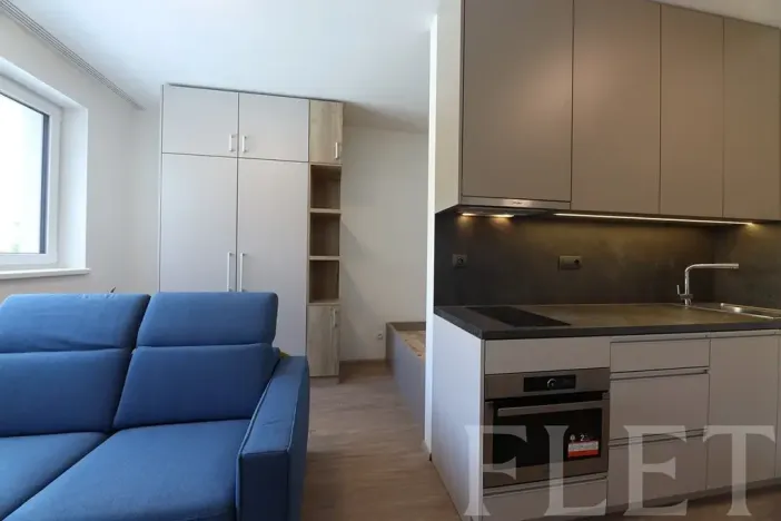 Pronájem bytu 1+kk, Praha - Holešovice, V háji, 30 m2