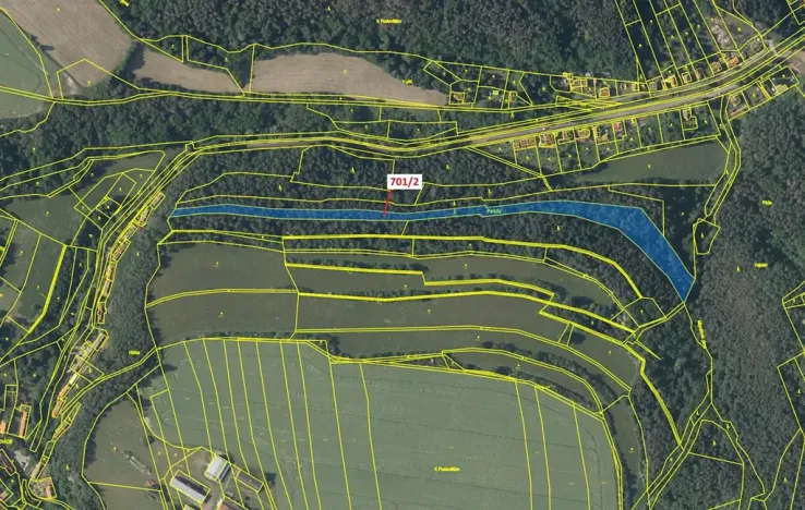 Dražba lesa, Lašovice, 10260 m2