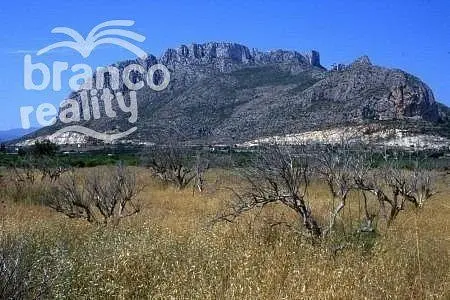 Prodej rodinného domu, El Verger, Alicante, Španělsko, 90 m2