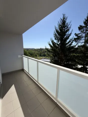 Pronájem bytu 3+kk, Plzeň, Waltrova, 79 m2