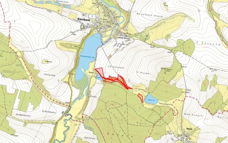 Prodej louky, Kamberk, 36264 m2