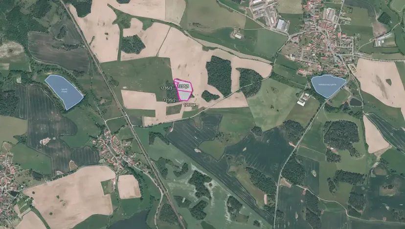 Prodej lesa, Velký Bor, 16139 m2