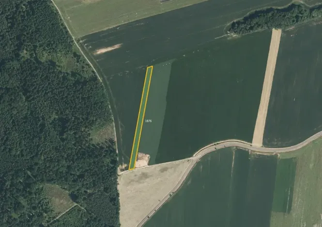 Prodej pole, Biřkov, 9293 m2