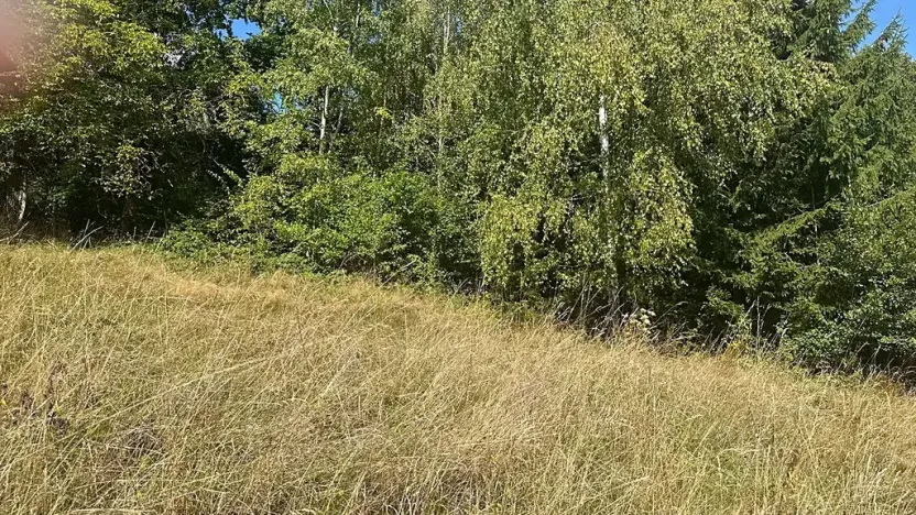 Prodej pozemku pro bydlení, Doubravice, 7276 m2