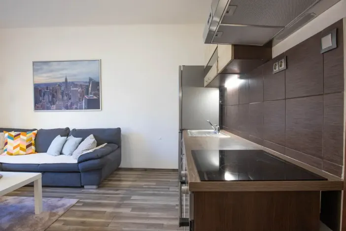 Pronájem bytu 2+kk, Praha - Žižkov, Jana Želivského, 56 m2