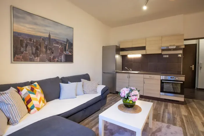 Prodej bytu 2+kk, Praha - Žižkov, Jana Želivského, 56 m2