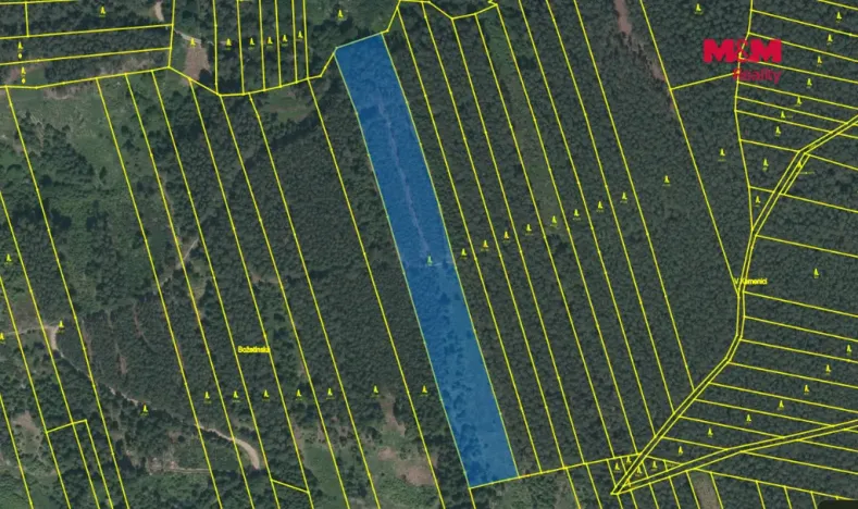 Prodej lesa, Slabčice - Písecká Smoleč, 48910 m2