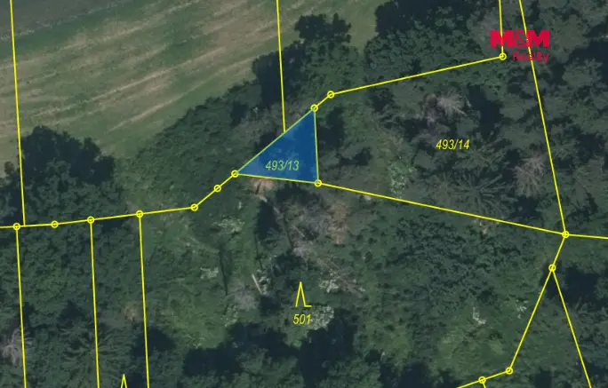Prodej lesa, Slabčice - Písecká Smoleč, 48910 m2