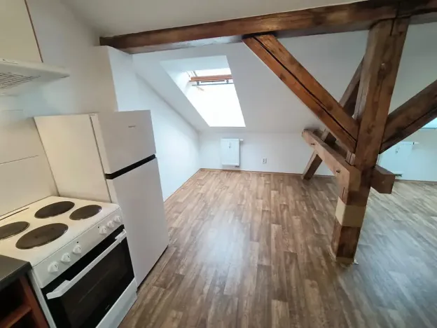 Pronájem bytu 1+kk, Ústí nad Labem, Londýnská, 52 m2