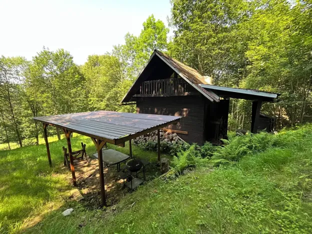 Dražba chaty, Těchonín, 17 m2