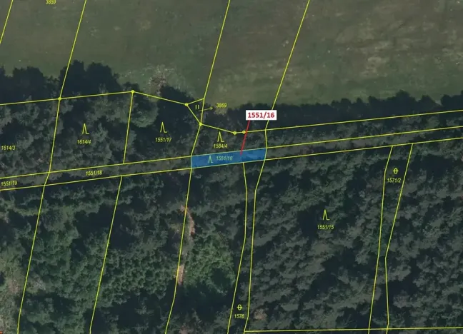 Dražba lesa, Nová Bystřice, 148 m2