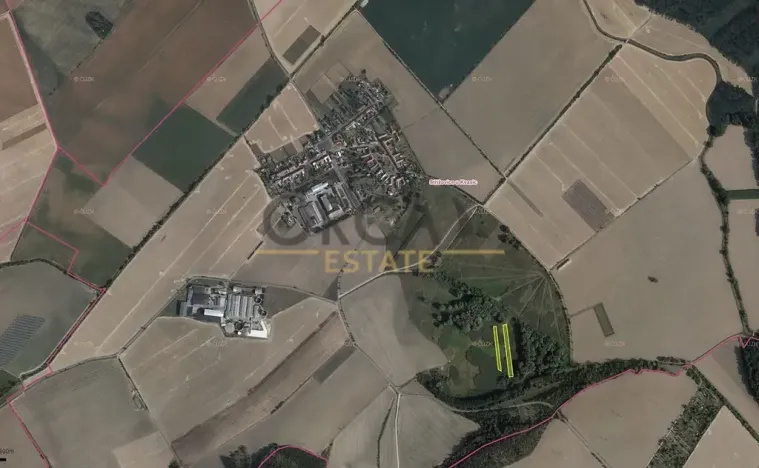 Prodej louky, Střížovice, 4747 m2