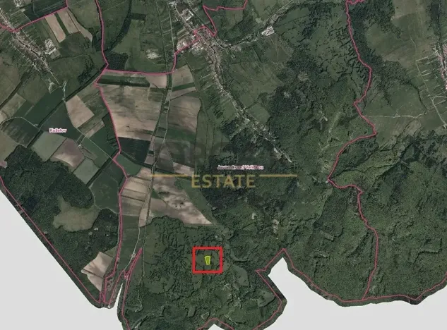 Prodej podílu louky, Javorník, 2636 m2