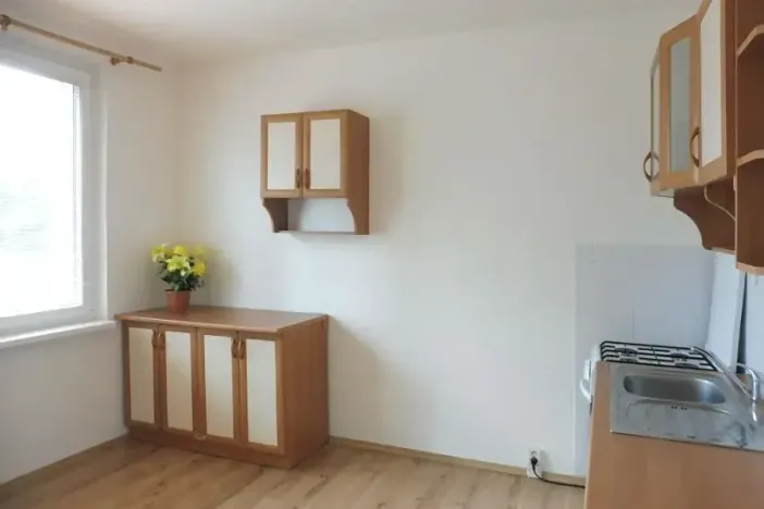 Pronájem bytu 1+1, Chomutov, Skalková, 35 m2