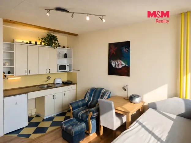 Pronájem bytu 1+kk, Ústí nad Labem - Ústí nad Labem-centrum, Hilarova, 21 m2