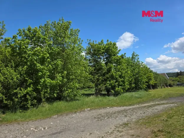 Prodej pozemku pro bydlení, Bor - Boječnice, 1093 m2