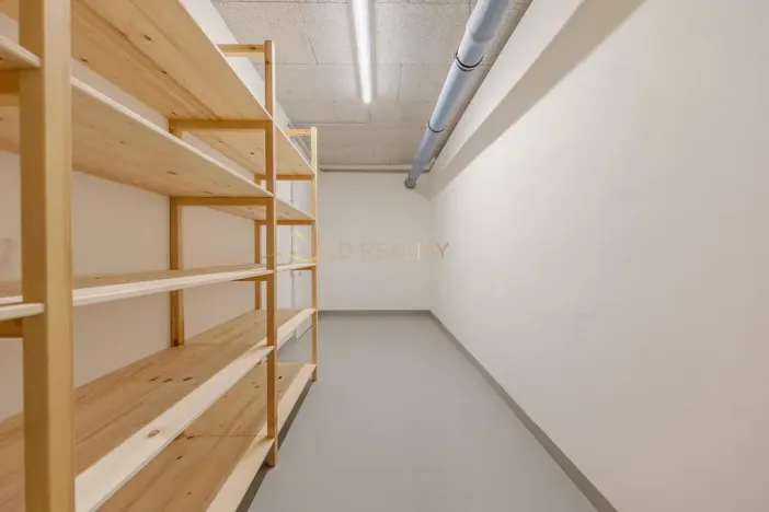 Pronájem bytu 3+kk, Olomouc - Nová Ulice, Karla Mareše, 108 m2