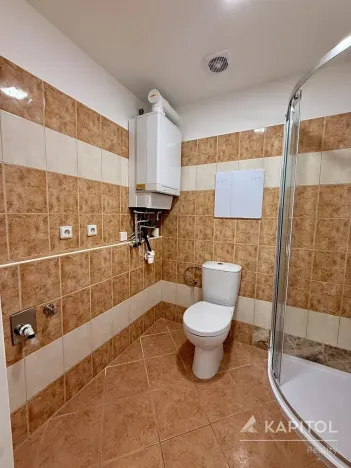 Pronájem bytu 1+kk, Brno, Vavřinecká, 41 m2