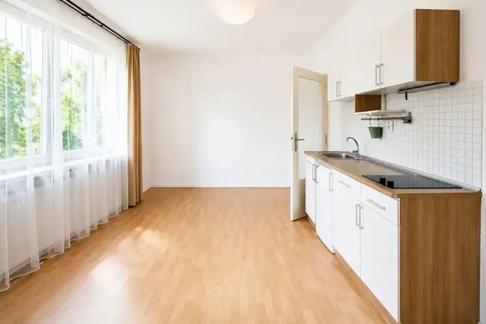 Pronájem bytu 1+kk, Praha - Nové Město, Biskupský dvůr, 26 m2