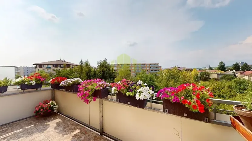 Prodej bytu 2+kk, Olomouc, Topolová, 55 m2