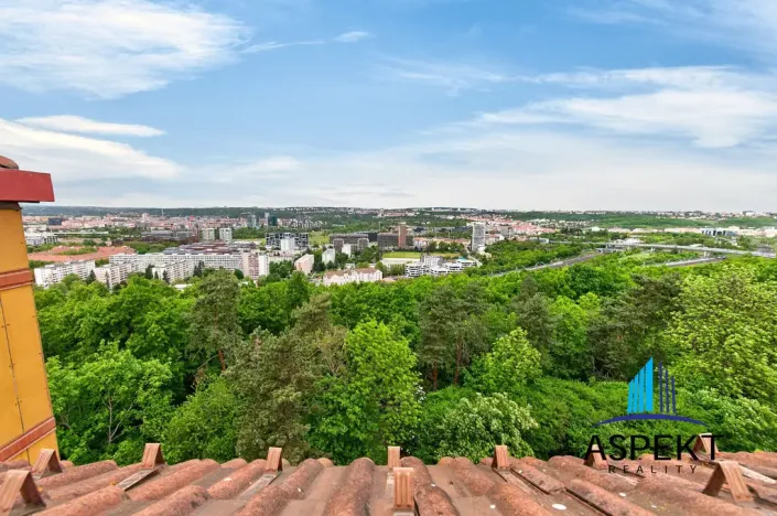 Prodej bytu 4+kk, Praha - Žižkov, Nad Ohradou, 94 m2