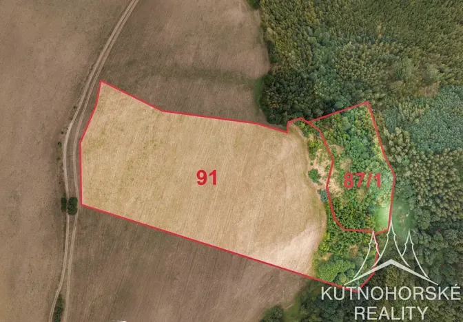 Prodej komerčního pozemku, Pertoltice, 51001 m2
