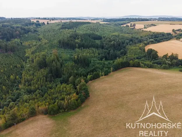Prodej komerčního pozemku, Pertoltice, 51001 m2