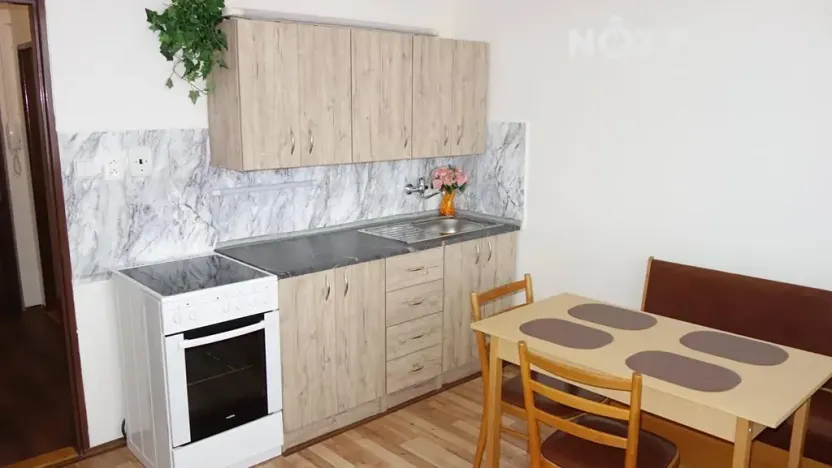 Pronájem bytu 1+1, Planá nad Lužnicí, Průmyslová, 39 m2