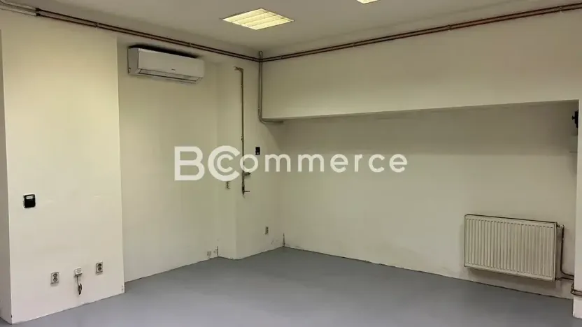 Pronájem výrobních prostor, Brno, 698 m2