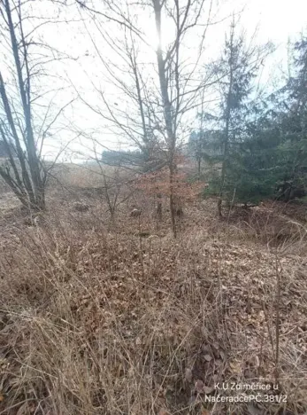 Prodej pozemku, Načeradec, 2315 m2