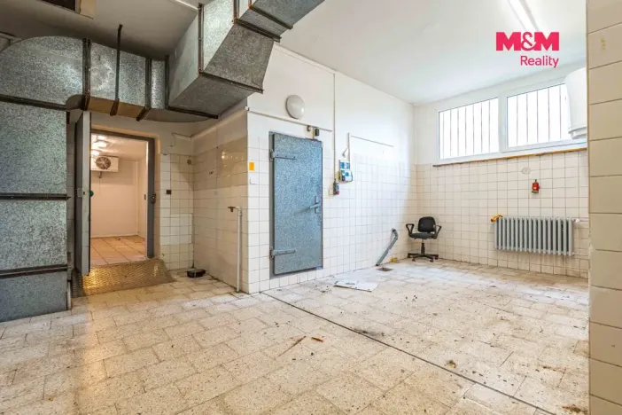 Prodej obchodního prostoru, Český Těšín, Slezská, 900 m2