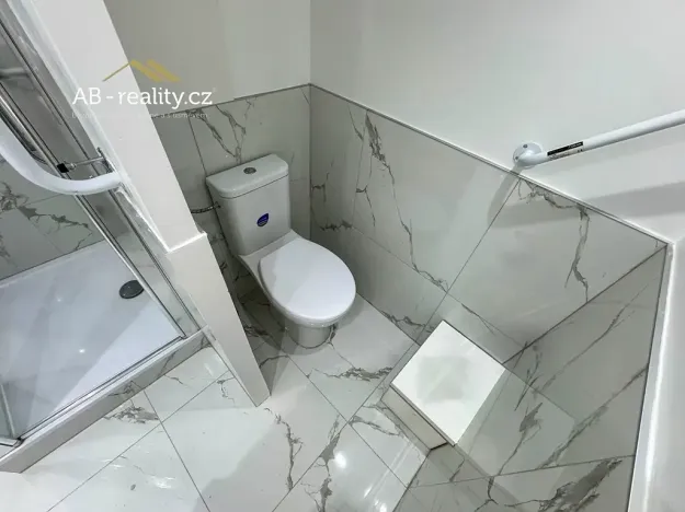 Prodej bytu 2+1, Teplice, Alejní, 54 m2