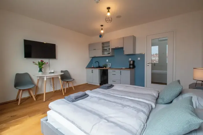 Pronájem bytu 1+kk, Praha, Perucká, 27 m2