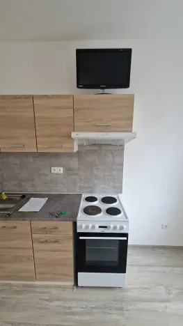 Pronájem bytu 1+kk, Teplice, Emilie Dvořákové, 28 m2