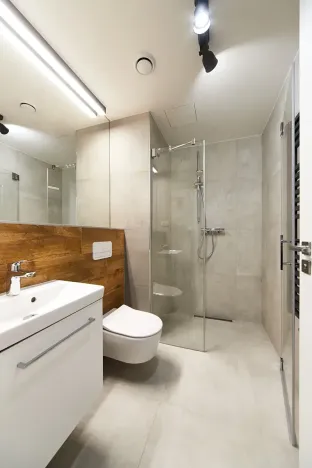 Pronájem bytu 2+kk, Brno, Cejl, 35 m2