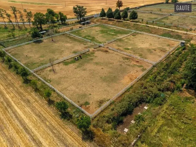 Prodej zemědělské usedlosti, Vlasatice, 5889 m2