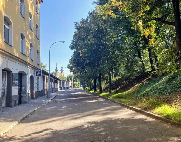 Pronájem bytu 1+kk, Brno, Husovická, 30 m2