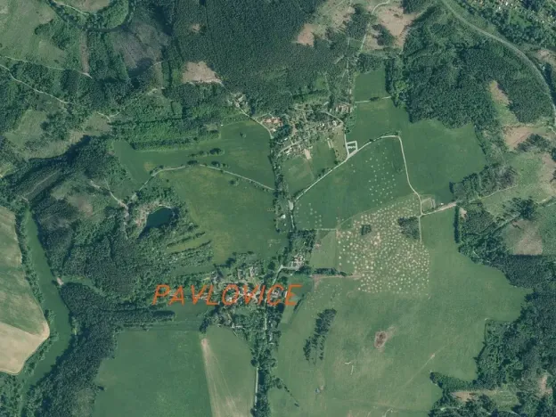 Dražba pole, Planá, 1400 m2