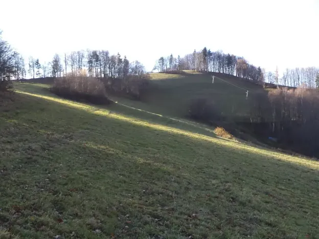 Dražba louky, Seninka, 13881 m2