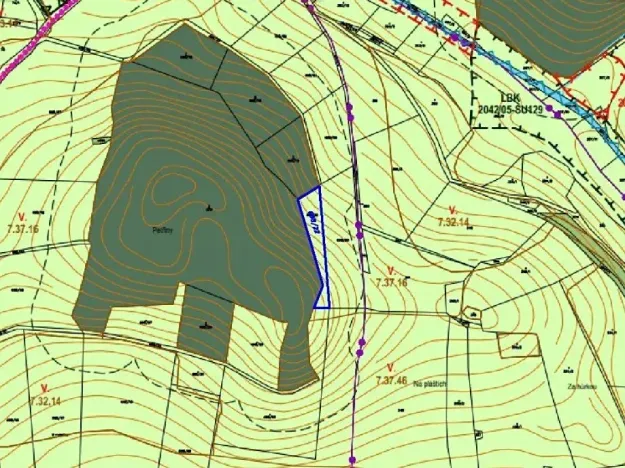 Dražba louky, Kolinec, 2385 m2